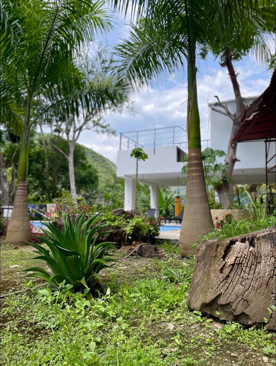 FINCA CAMPESTRE EN VENTA O PERMUTA – SANTA FE DE ANTIOQUIA 2
