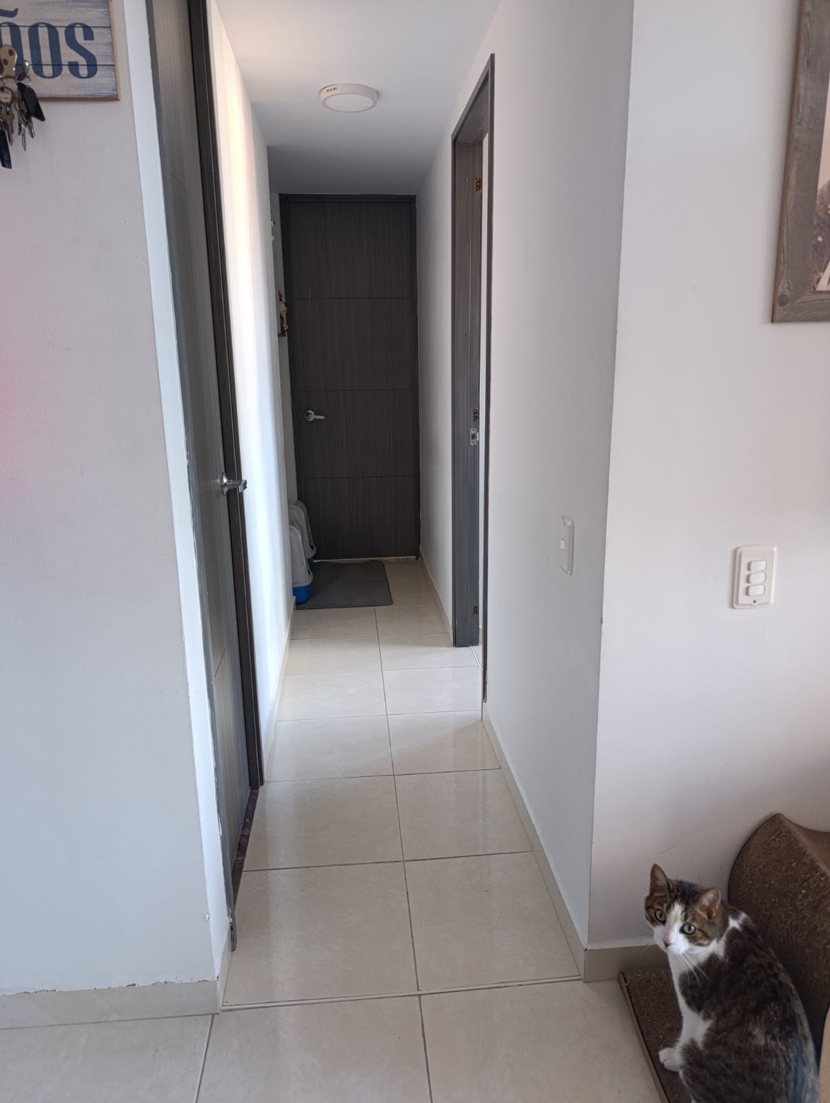APARTAMENTO EN VENTA – CALASANZ 10