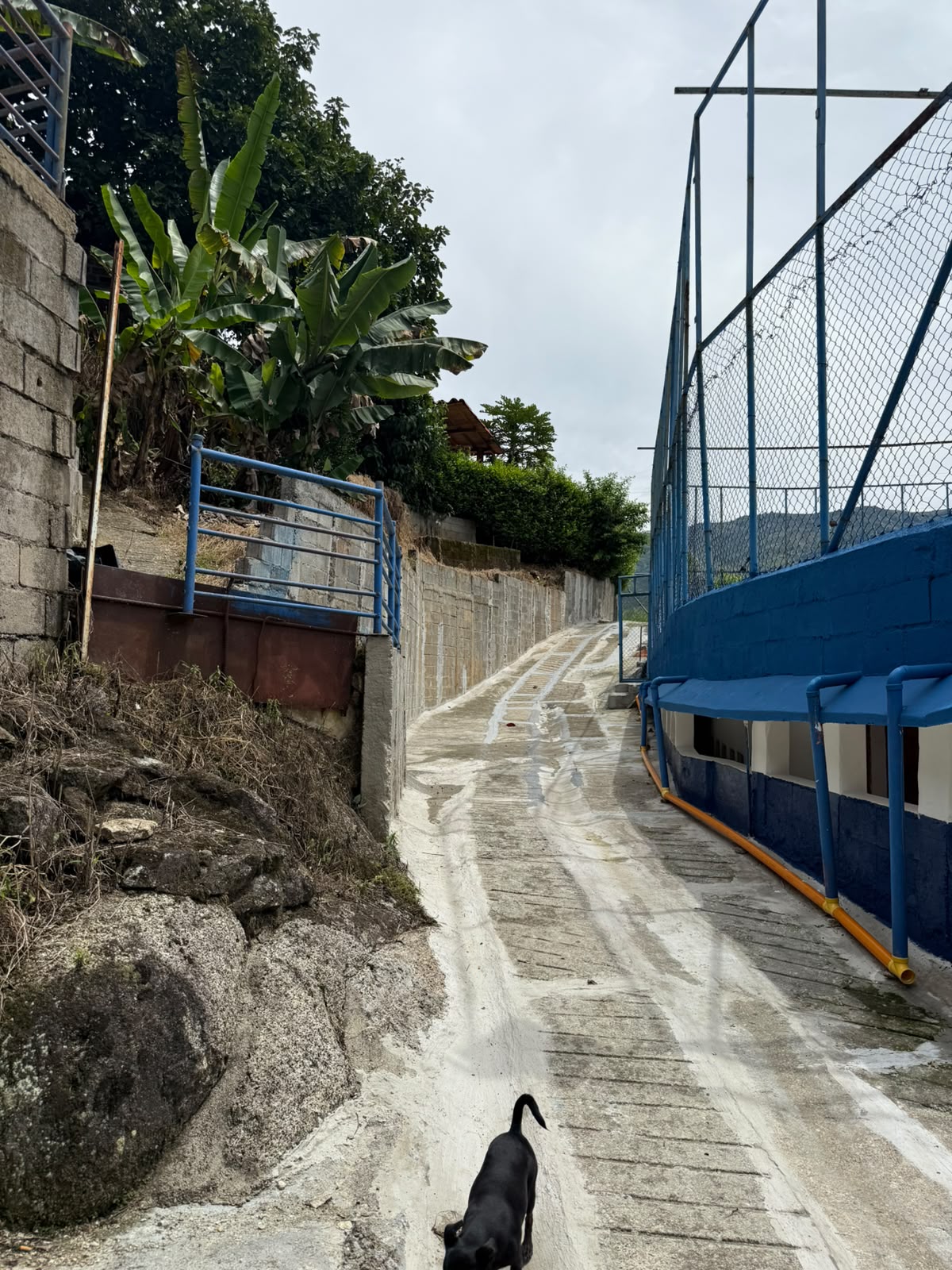 Finca en Barbosa 19