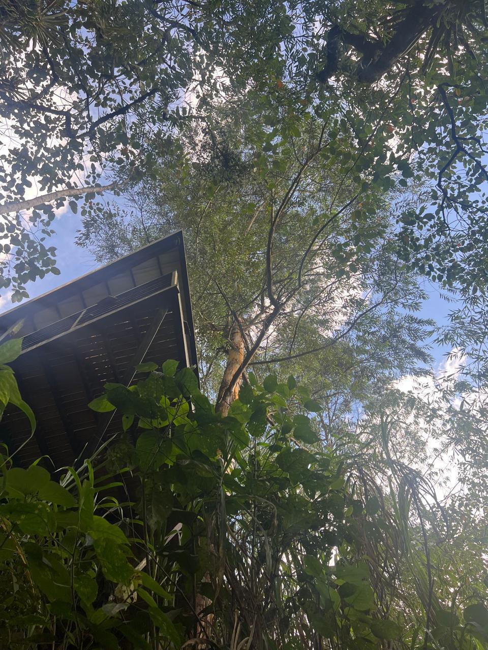 Casa Campestre en Parcelación Caldas 5
