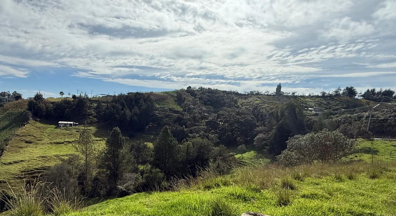 LOTE EN GIRARDOTA / VEREDA EL YARUMO 5