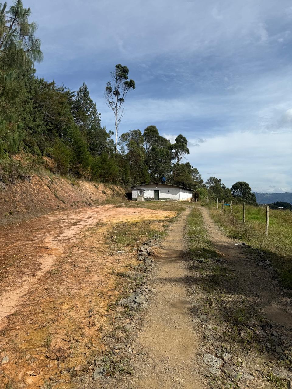 LOTE EN GIRARDOTA / VEREDA EL YARUMO 12