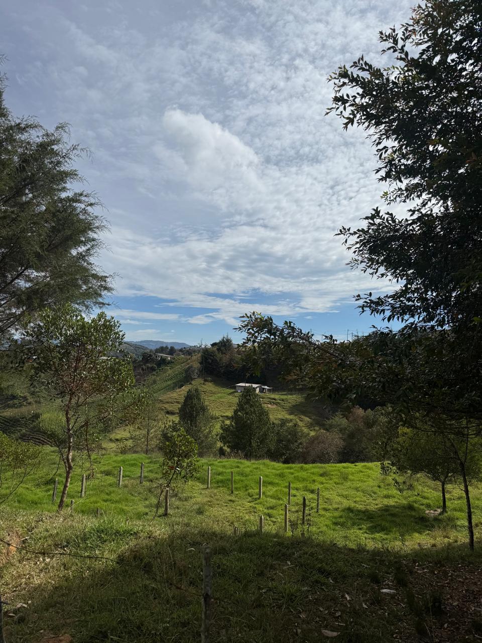LOTE EN GIRARDOTA / VEREDA EL YARUMO 15