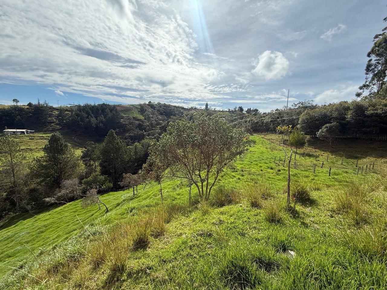 LOTE EN GIRARDOTA / VEREDA EL YARUMO 8