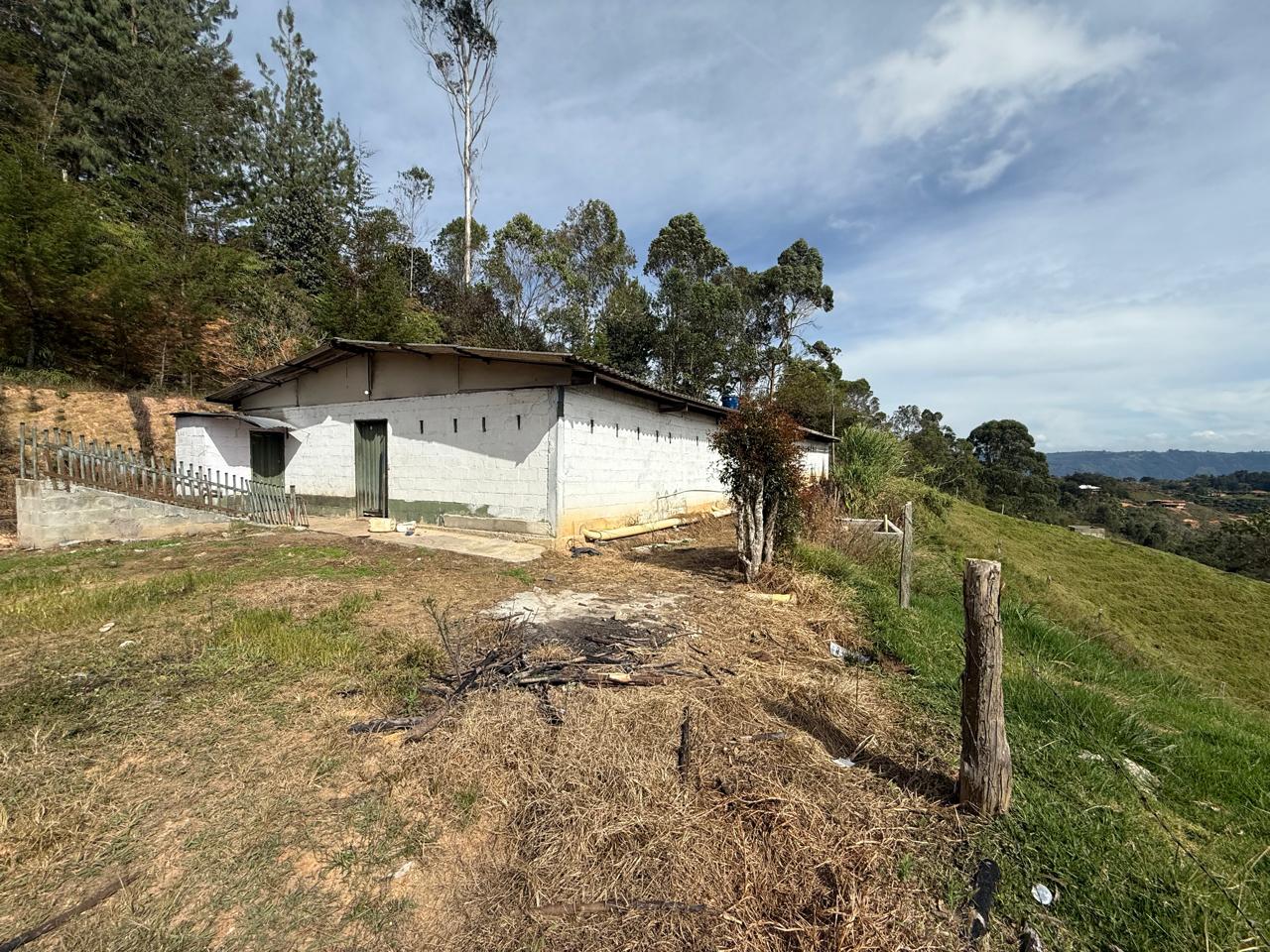 LOTE EN GIRARDOTA / VEREDA EL YARUMO 3