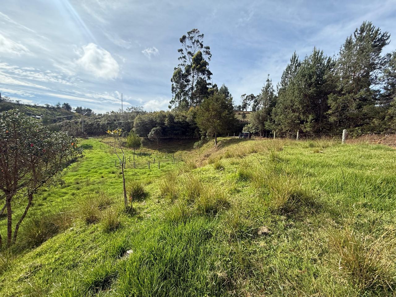 LOTE EN GIRARDOTA / VEREDA EL YARUMO 10