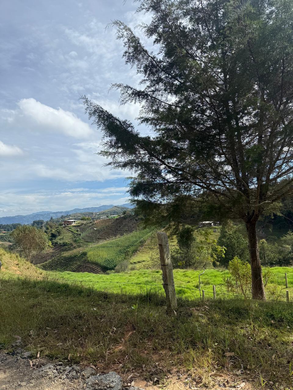 LOTE EN GIRARDOTA / VEREDA EL YARUMO 13
