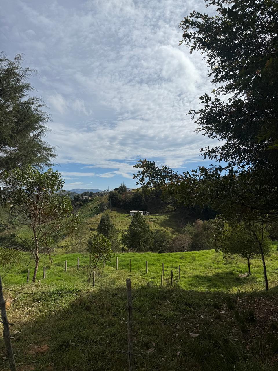 LOTE EN GIRARDOTA / VEREDA EL YARUMO 14